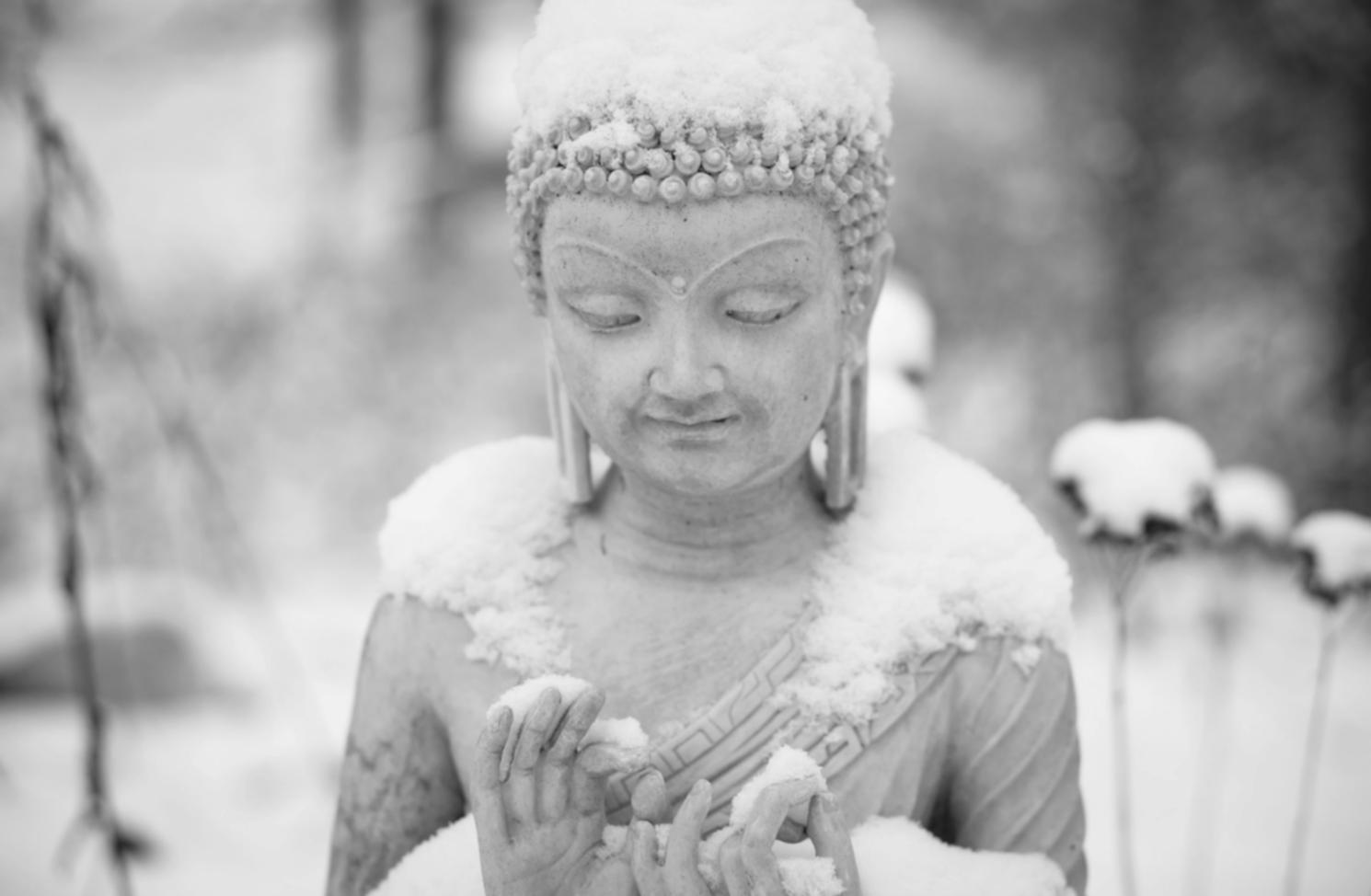 Student practicing seated hatha yoga posture